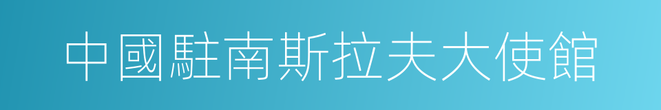中國駐南斯拉夫大使館的同義詞