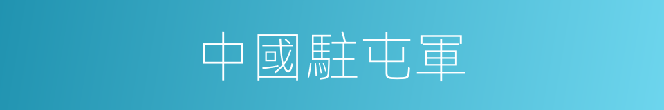 中國駐屯軍的同義詞