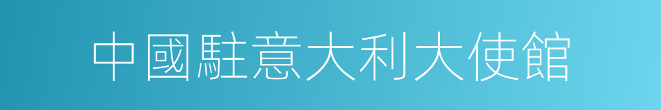 中國駐意大利大使館的同義詞