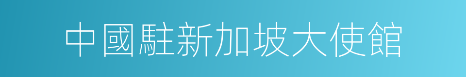 中國駐新加坡大使館的同義詞