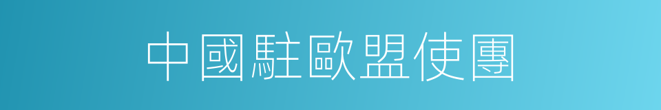 中國駐歐盟使團的同義詞