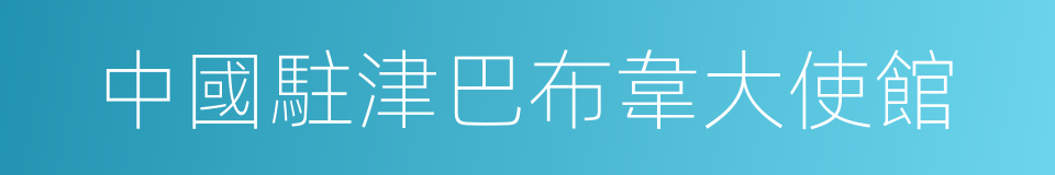 中國駐津巴布韋大使館的同義詞
