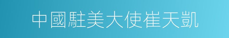 中國駐美大使崔天凱的同義詞