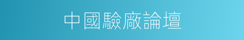 中國驗廠論壇的同義詞