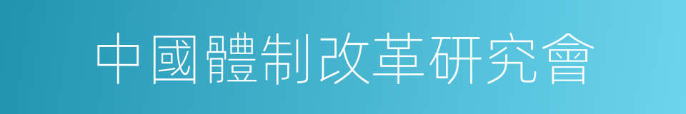 中國體制改革研究會的同義詞