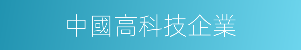 中國高科技企業的同義詞