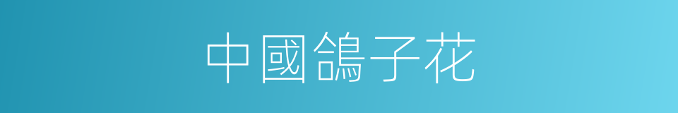 中國鴿子花的同義詞