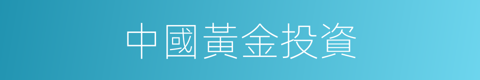 中國黃金投資的同義詞