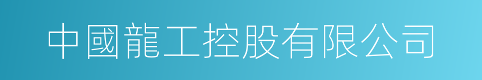中國龍工控股有限公司的同義詞