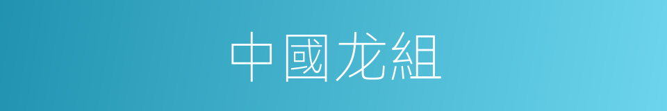 中國龙組的同義詞