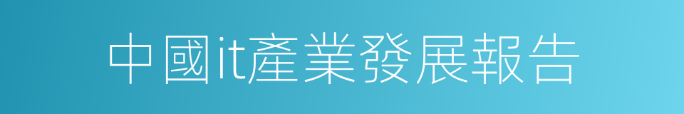中國it產業發展報告的同義詞