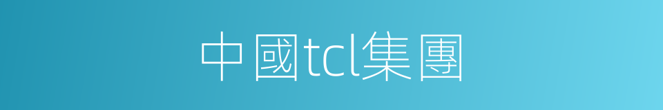 中國tcl集團的同義詞