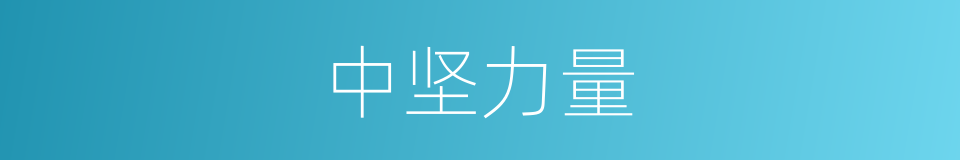 中坚力量的意思