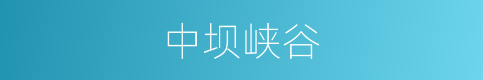 中坝峡谷的同义词