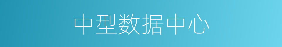 中型数据中心的同义词