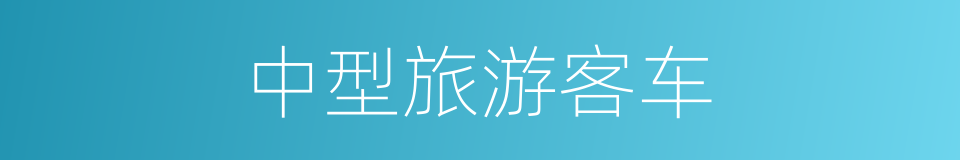 中型旅游客车的同义词