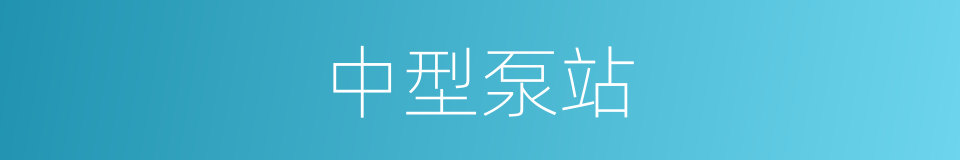 中型泵站的同义词