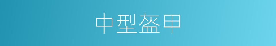 中型盔甲的同义词