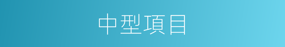 中型項目的同義詞