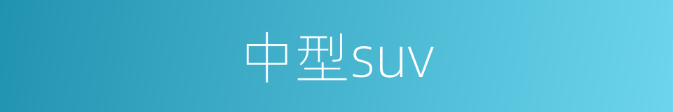 中型suv的同义词