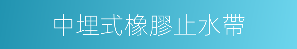 中埋式橡膠止水帶的同義詞