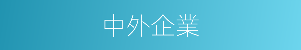 中外企業的同義詞