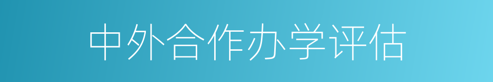 中外合作办学评估的同义词