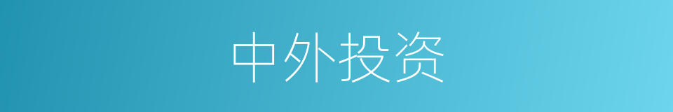 中外投资的同义词
