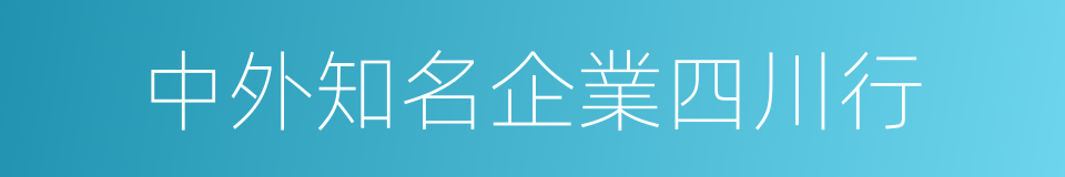 中外知名企業四川行的同義詞