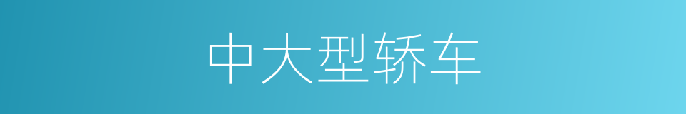 中大型轿车的同义词