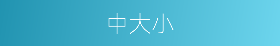 中大小的同义词