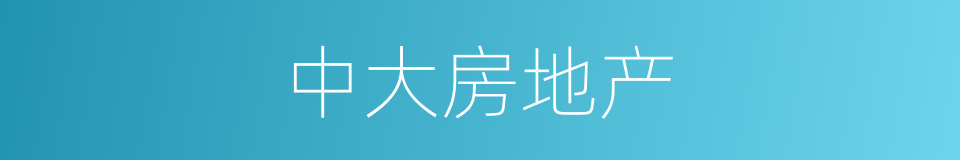 中大房地产的同义词