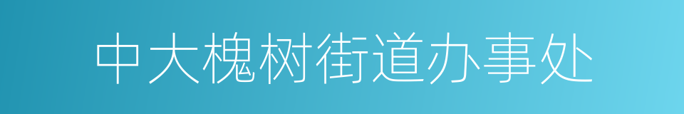 中大槐树街道办事处的同义词