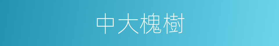 中大槐樹的同義詞