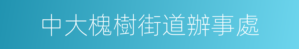 中大槐樹街道辦事處的同義詞