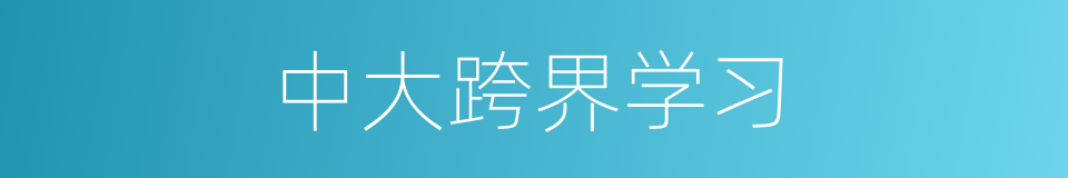 中大跨界学习的同义词