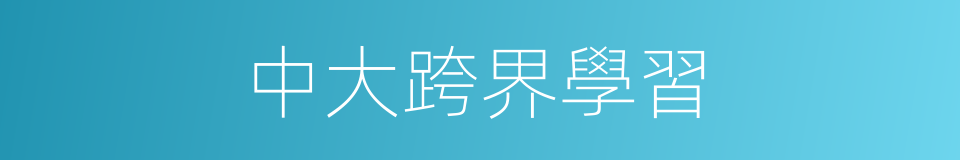 中大跨界學習的同義詞