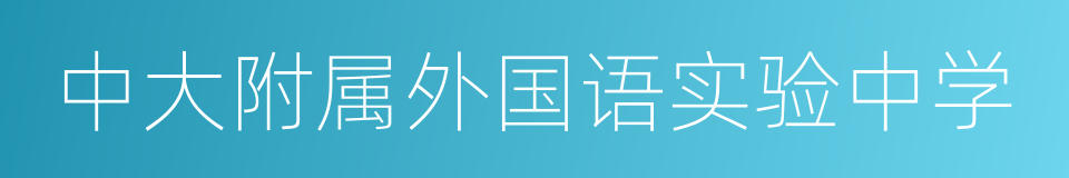 中大附属外国语实验中学的同义词