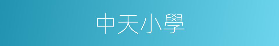 中天小學的同義詞