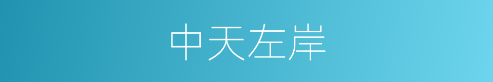 中天左岸的同义词