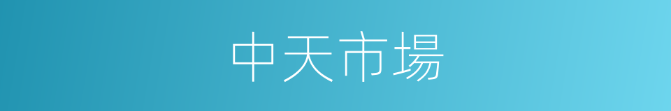 中天市場的同義詞