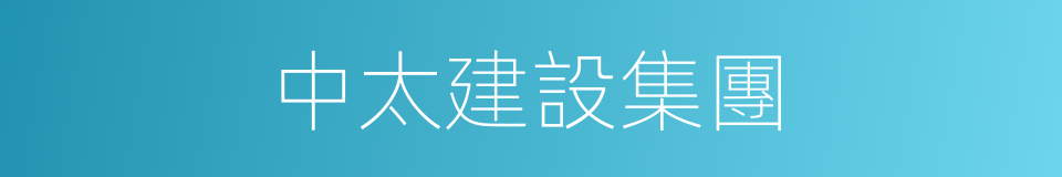 中太建設集團的同義詞