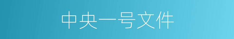 中央一号文件的同义词