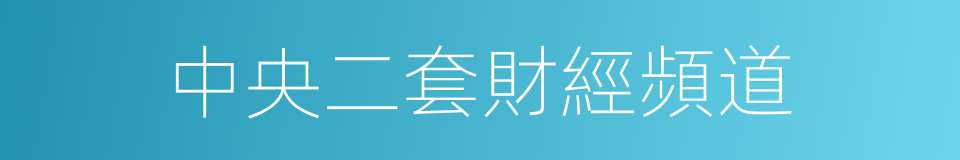 中央二套財經頻道的同義詞