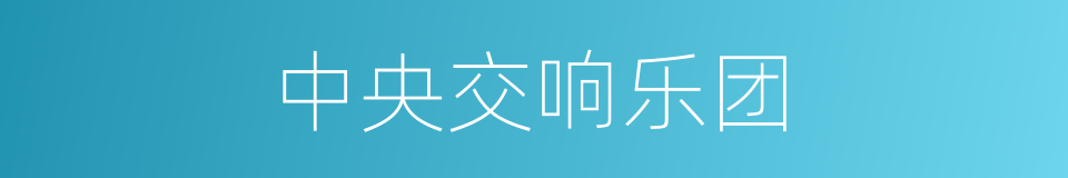 中央交响乐团的同义词