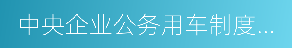 中央企业公务用车制度改革实施意见的同义词