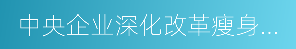 中央企业深化改革瘦身健体工作方案的同义词