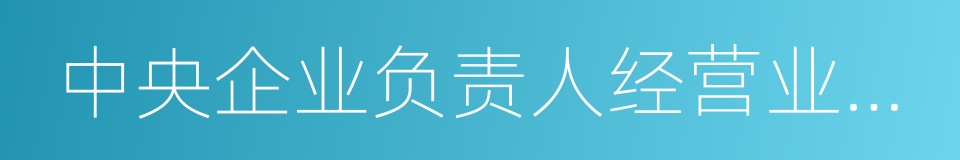 中央企业负责人经营业绩考核办法的同义词