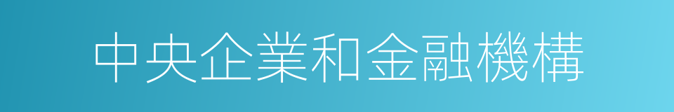 中央企業和金融機構的同義詞