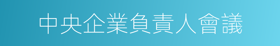 中央企業負責人會議的同義詞